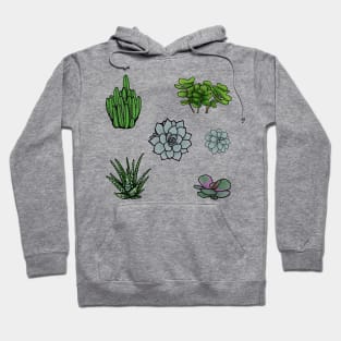 Six Sublime Succulents Hoodie